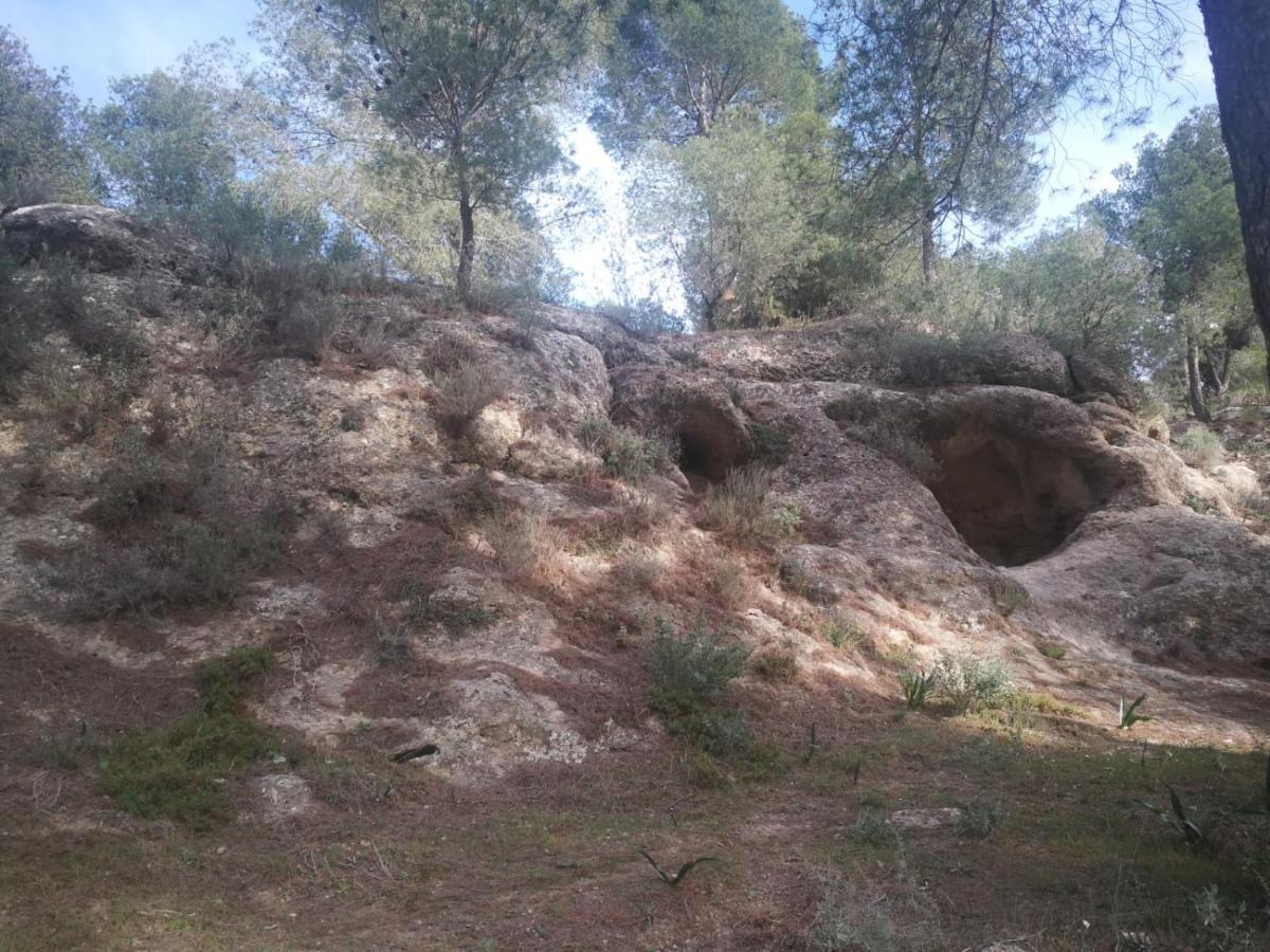 Alojamiento Rural El Paraiso Del Chorro Buitenkant foto