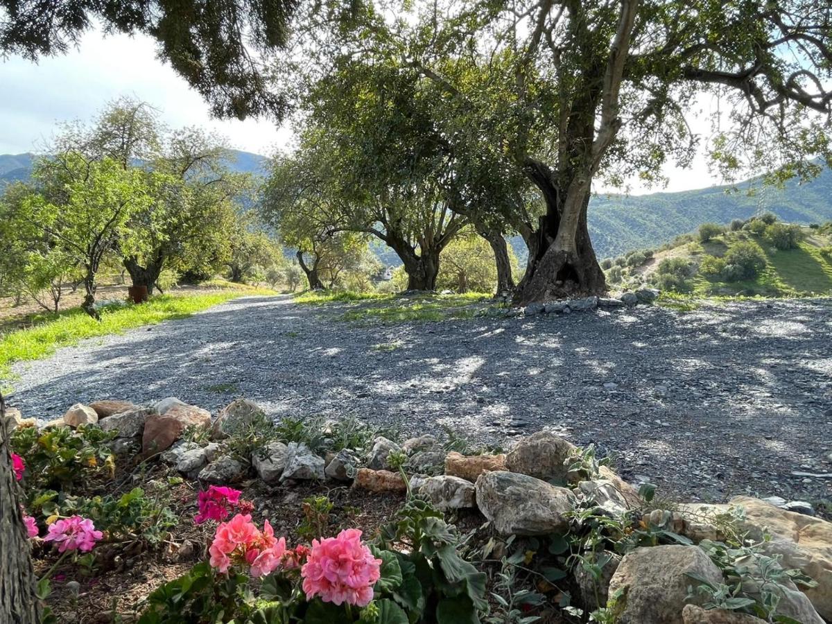 Alojamiento Rural El Paraiso Del Chorro Buitenkant foto